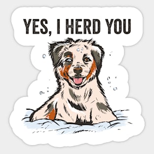 Yes I Herd You Funny Australian Shepherd Sticker